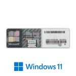 Windows 11 Pro and Home All Versions Lifetime Retail License 32/64-Bit Key - (Key Works with Windows 10 Home/Pro too Reverse Compatible)