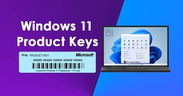 Windows 11 Pro - license - 1 license